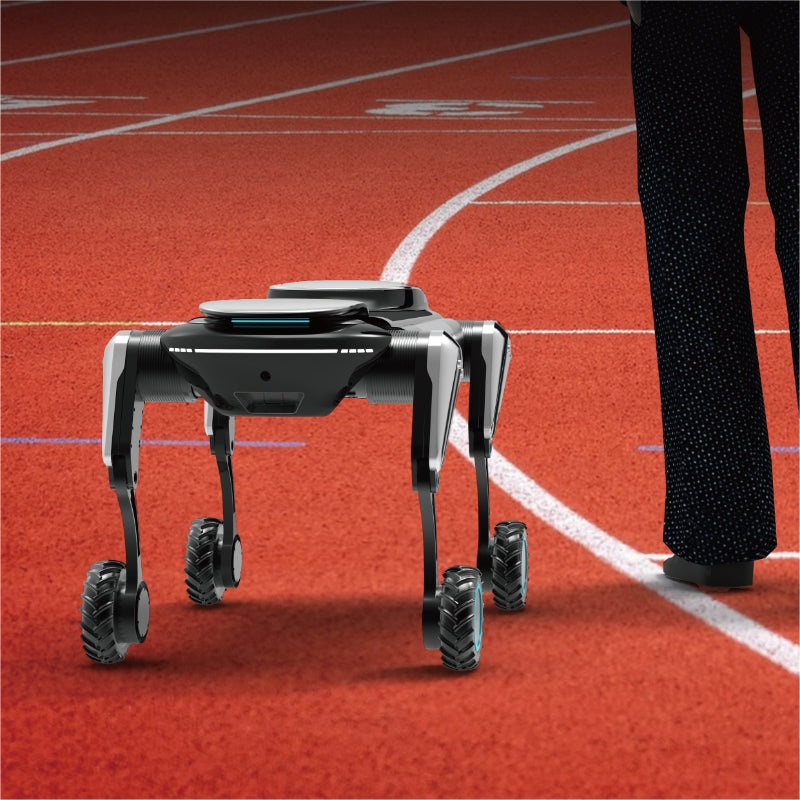 Quadruped robot following a person on a playground, demonstrating AI-powered dynamic tracking with high-precision positioning and fast response.